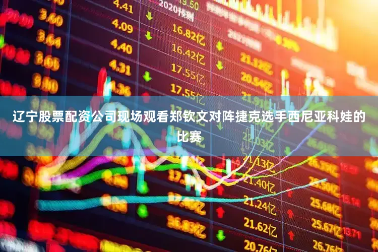辽宁股票配资公司现场观看郑钦文对阵捷克选手西尼亚科娃的比赛