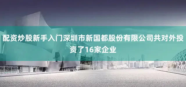 配资炒股新手入门深圳市新国都股份有限公司共对外投资了16家企业