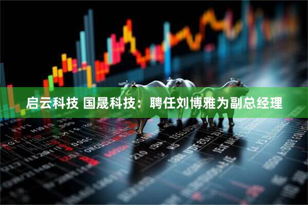 启云科技 国晟科技：聘任刘博雅为副总经理