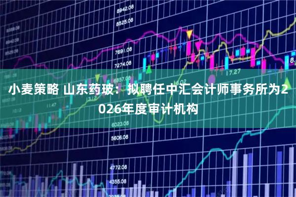 小麦策略 山东药玻：拟聘任中汇会计师事务所为2026年度审计机构