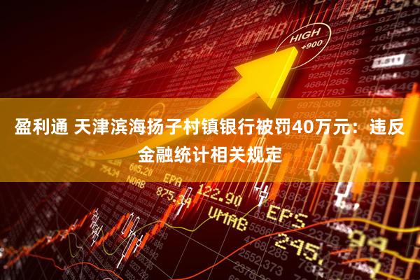 盈利通 天津滨海扬子村镇银行被罚40万元：违反金融统计相关规定