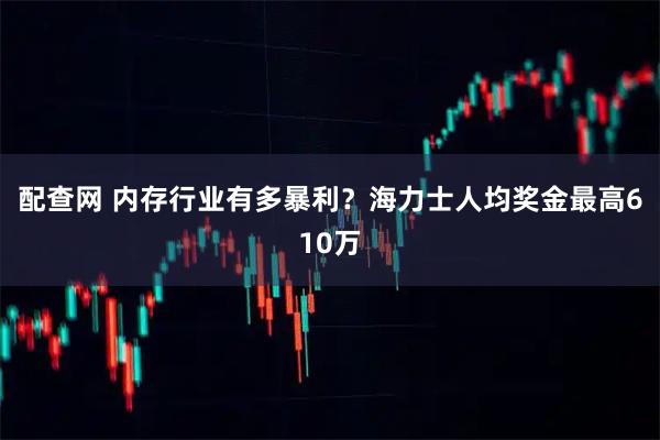 配查网 内存行业有多暴利？海力士人均奖金最高610万
